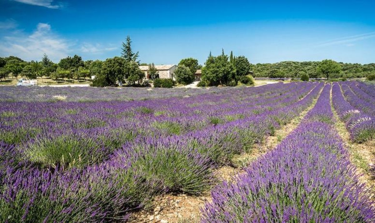  - Vignerons Indépendants