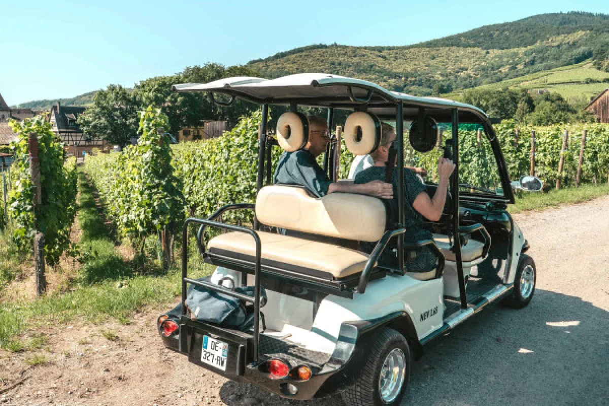 Electric vehicle ride through the vineyards - Vignerons Indépendants