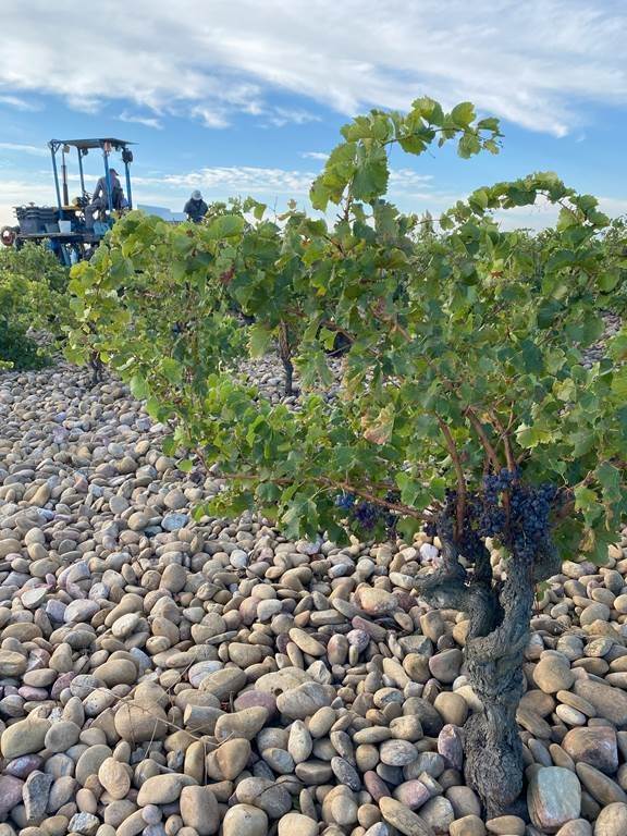  - Vignerons Indépendants