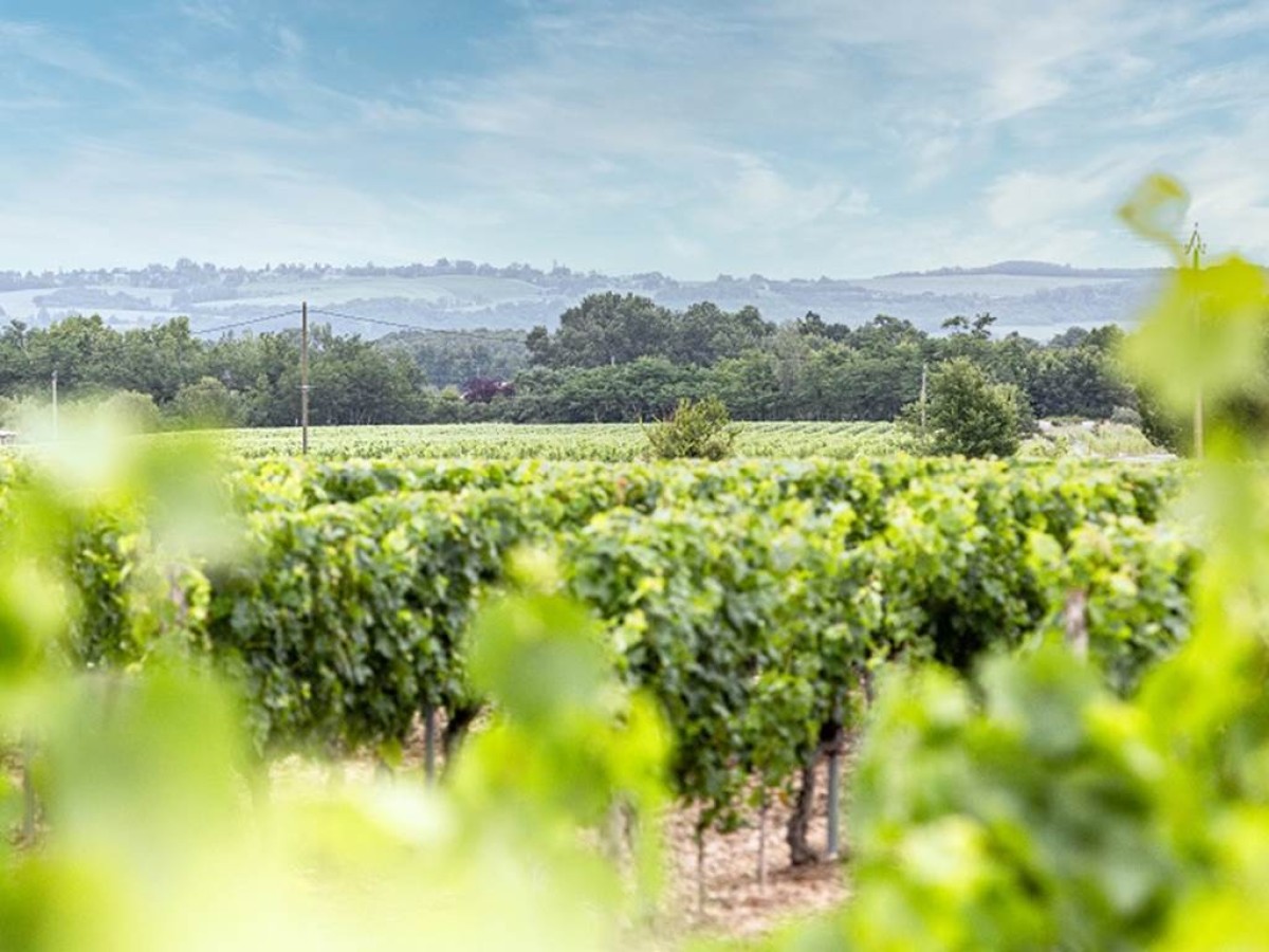  - Vignerons Indépendants
