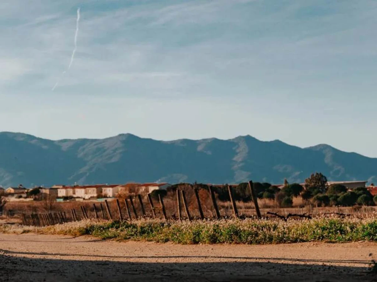 Entrée en matière : vigne, chais et vins - Vignerons Indépendants