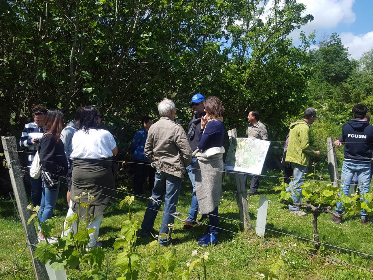  - Vignerons Indépendants