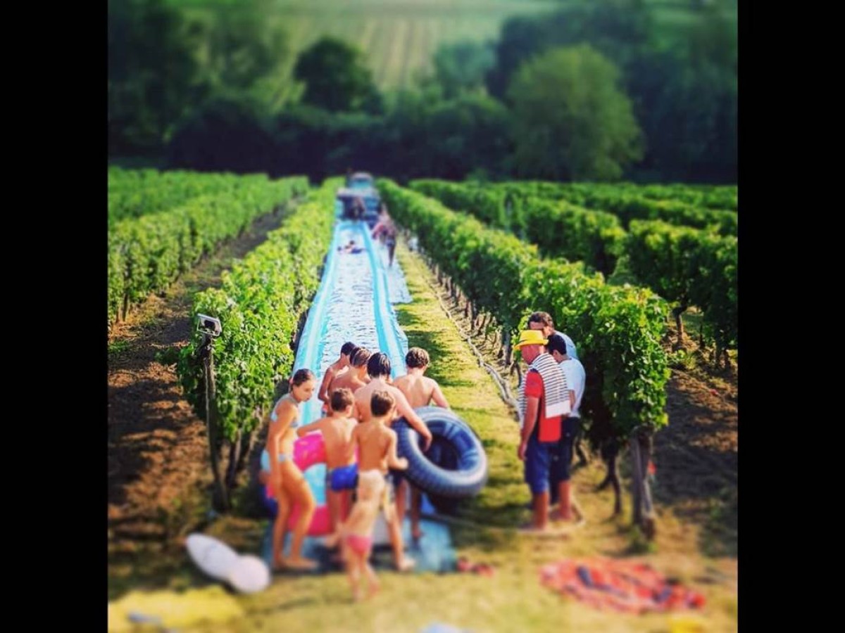  - Vignerons Indépendants