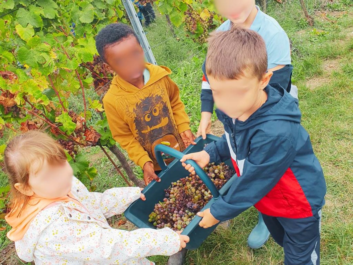  - Vignerons Indépendants