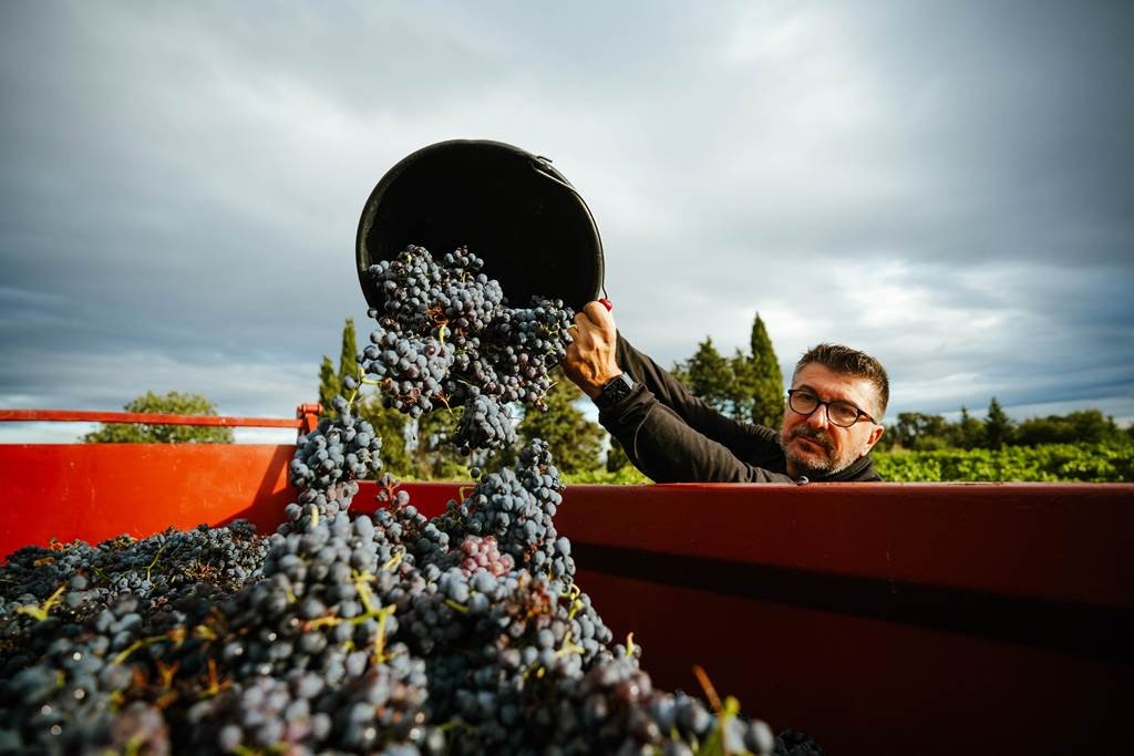 Fête des Vendanges 26/09/25 - Vignerons Indépendants