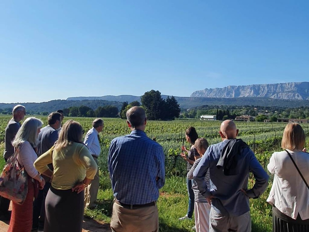 FR - Guided tour of the estate in French followed by a tasting (high season) - Vignerons Indépendants