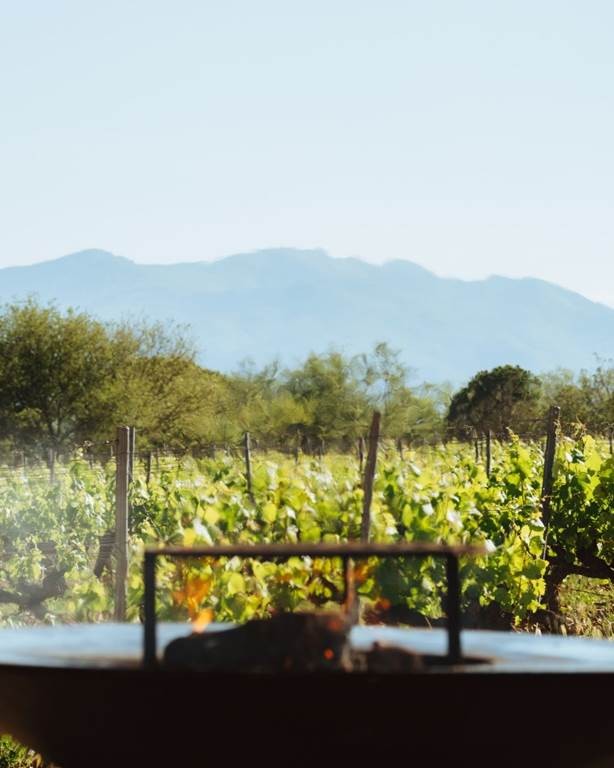 Garden Party - Vignerons Indépendants
