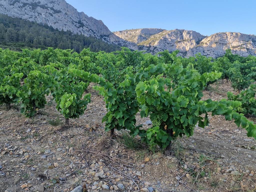  - Vignerons Indépendants