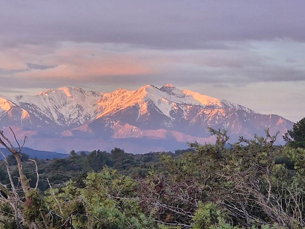  - Vignerons Indépendants