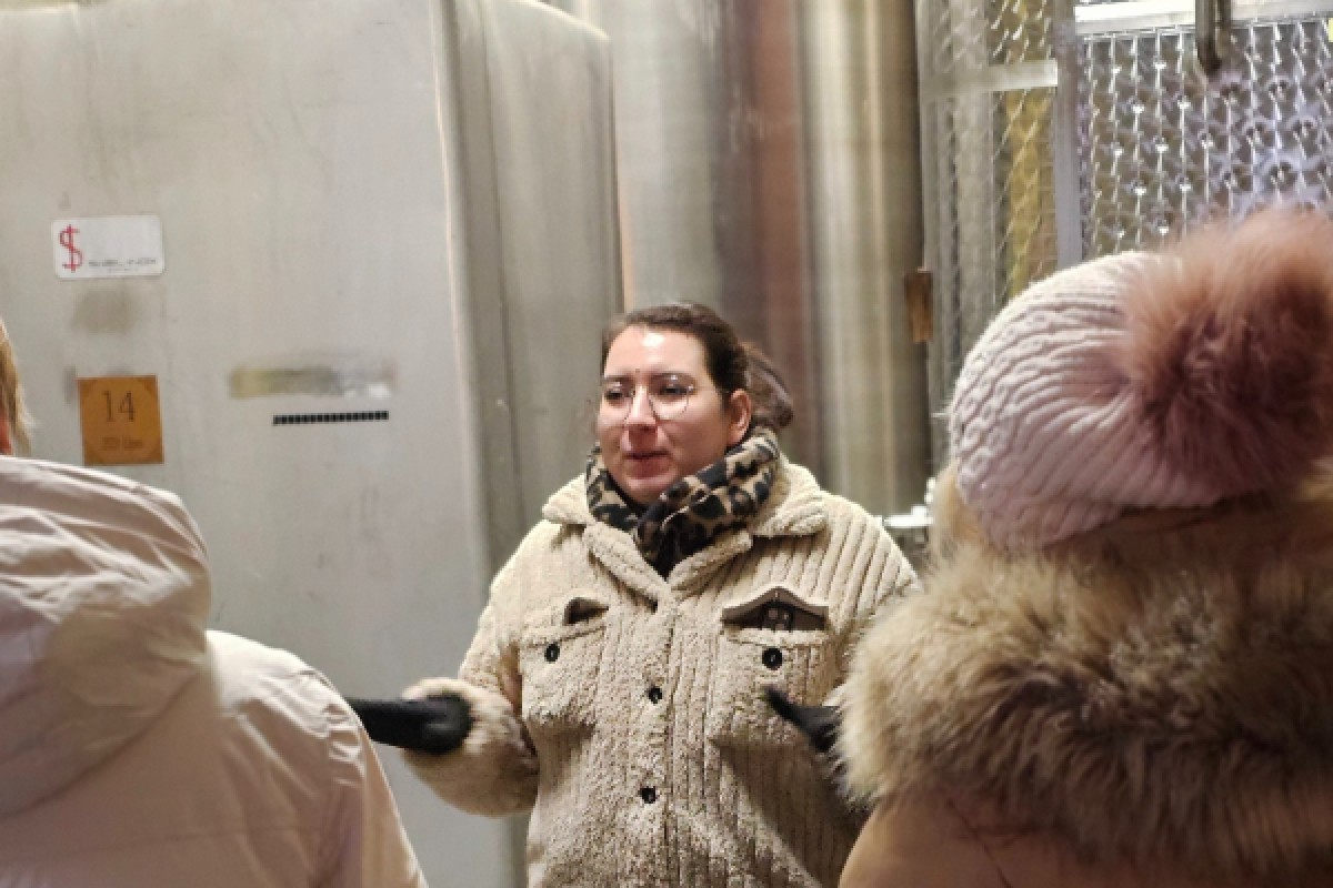 Guided winery tour in Alsace - local wine tasting - Vignerons Indépendants