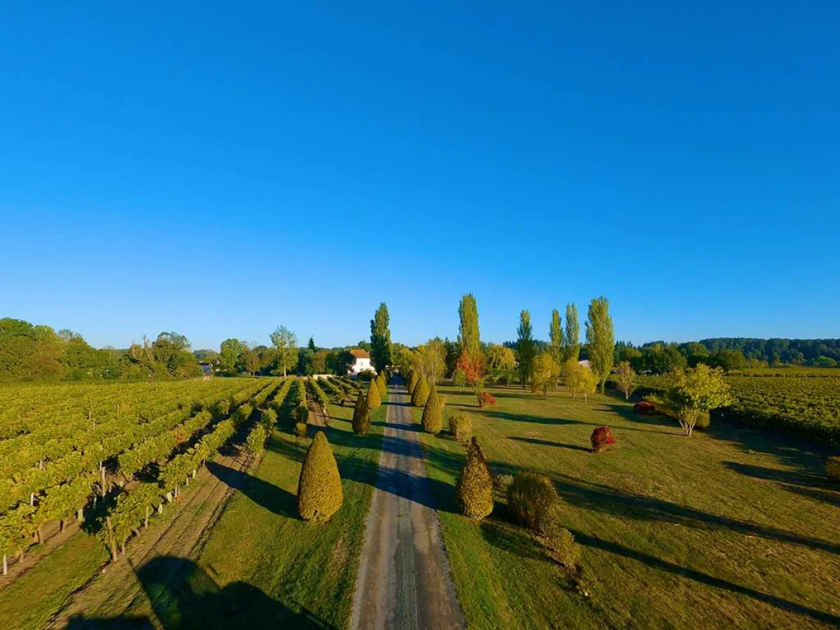 IMMERSION IN FAMILY LAND - Vignerons Indépendants