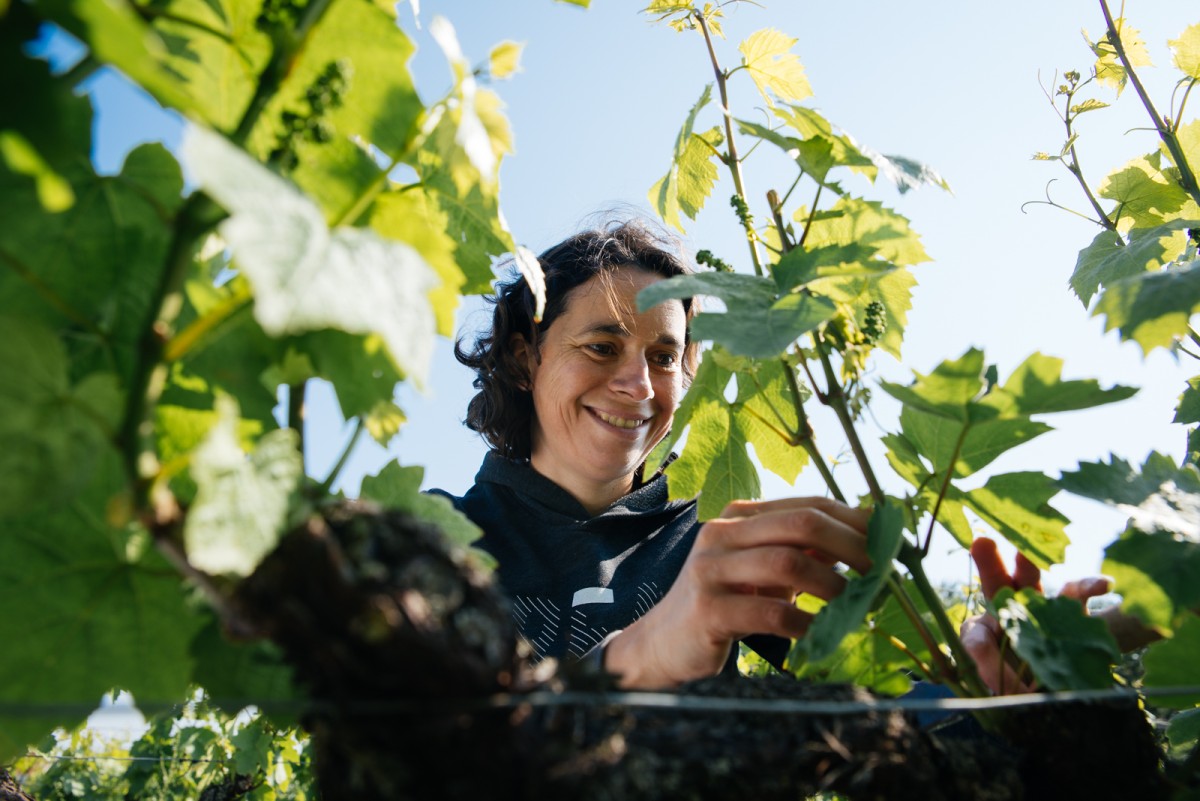  - Vignerons Indépendants