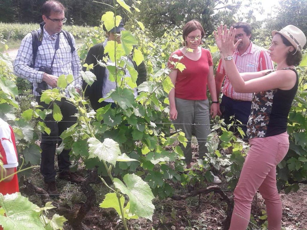  - Vignerons Indépendants
