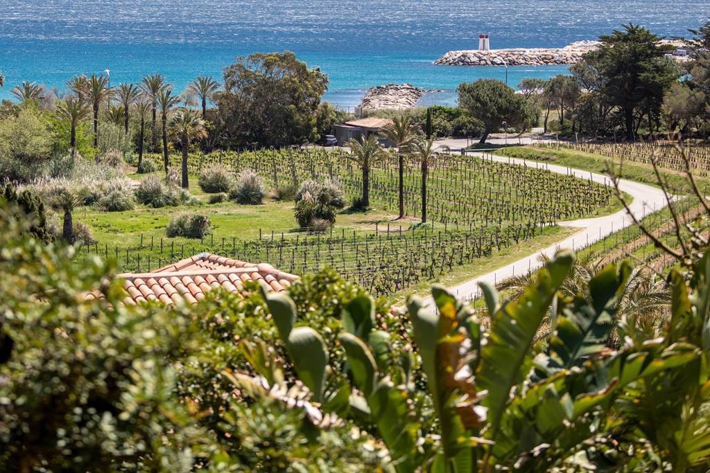 L'Apero Après-PLage - Vignerons Indépendants