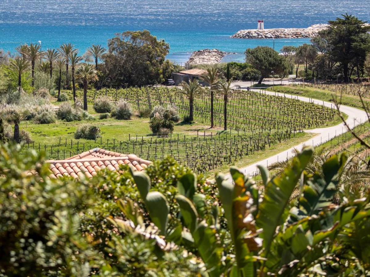 L'Apero Après-PLage - Vignerons Indépendants