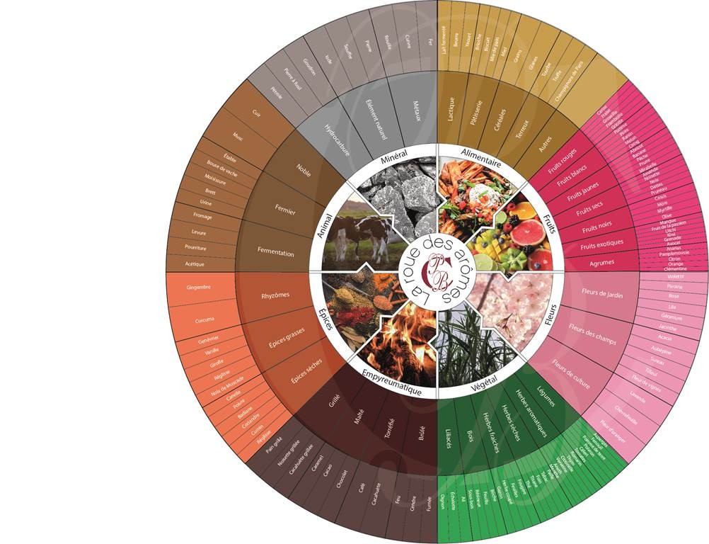 L' Atelier des sens : découverte sensorielle - Vignerons Indépendants