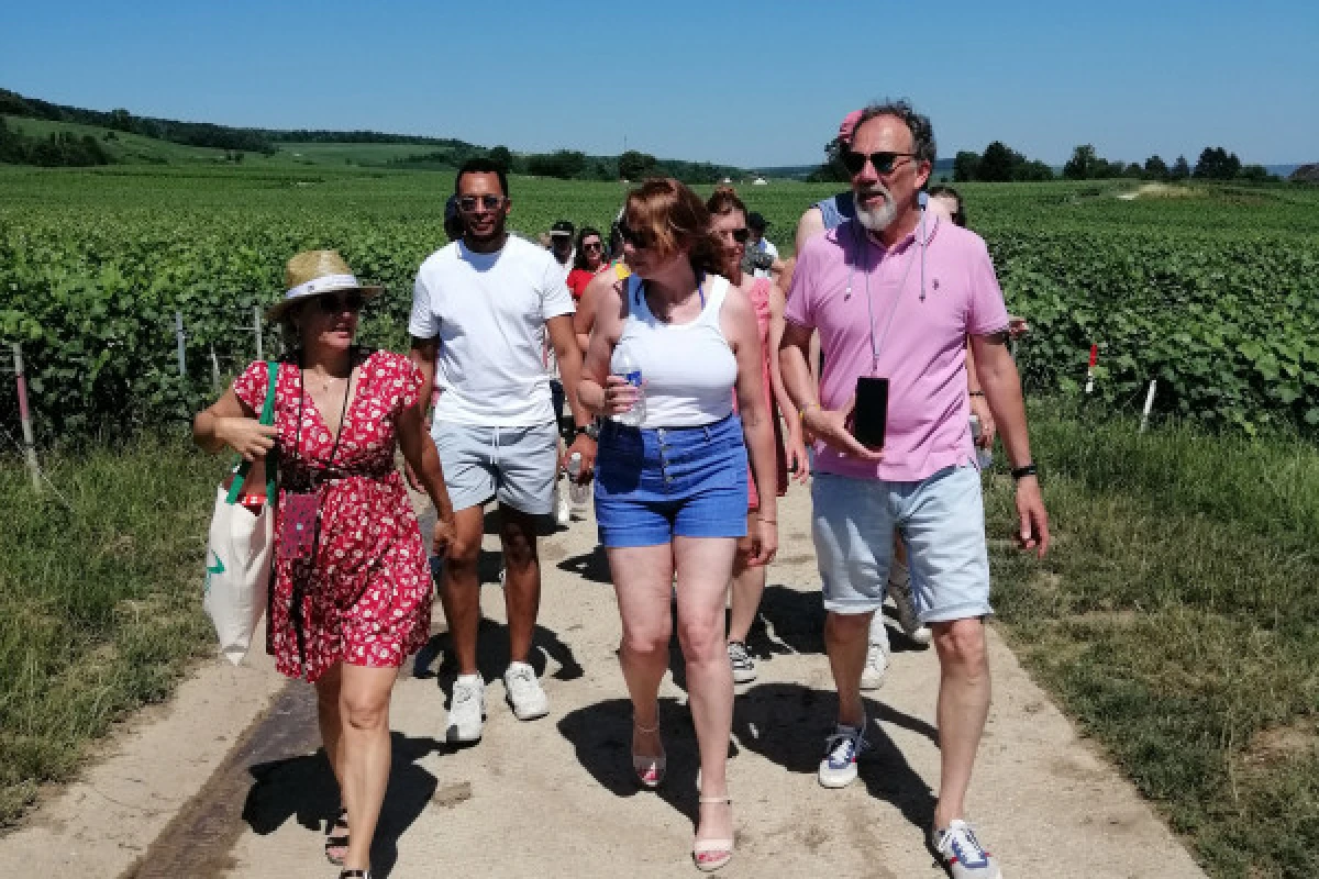 The Lovely Escape - Walking Stroll & Tasting - Vignerons Indépendants