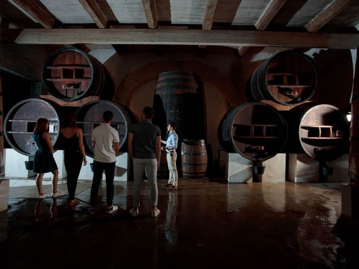 L'escapade Viti-oeno (visit and tasting) - Vignerons Indépendants