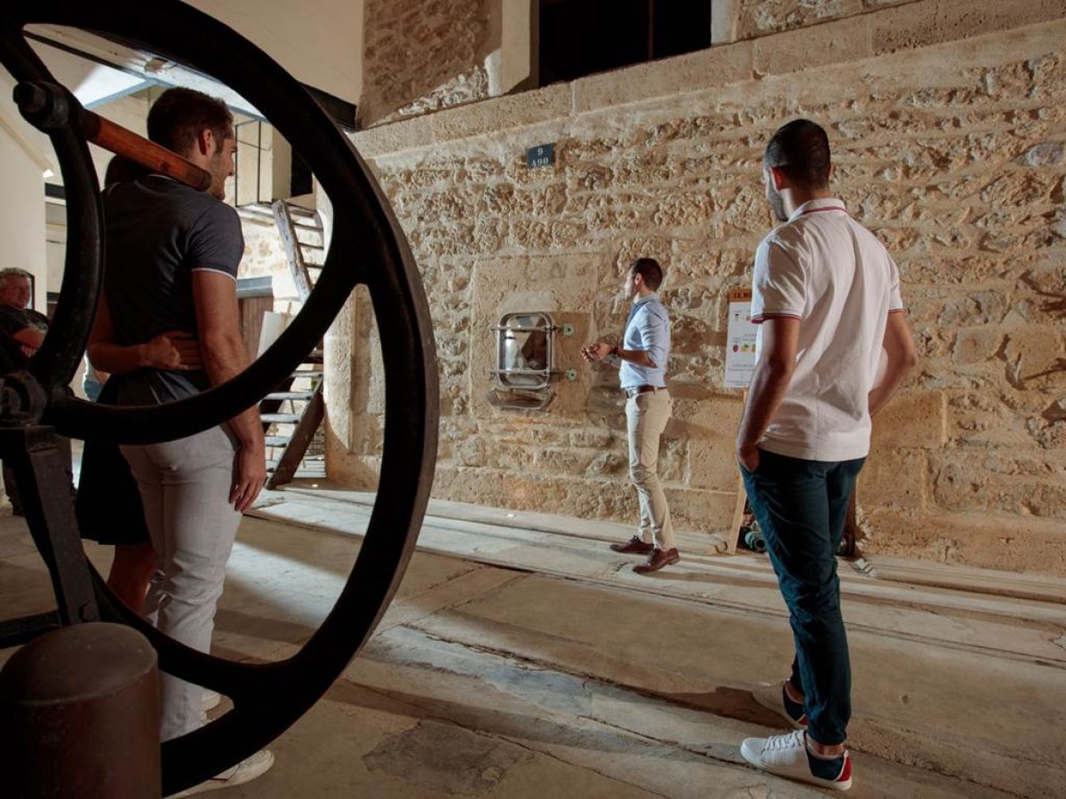 L'escapade Viti-oeno (visit and tasting) - Vignerons Indépendants