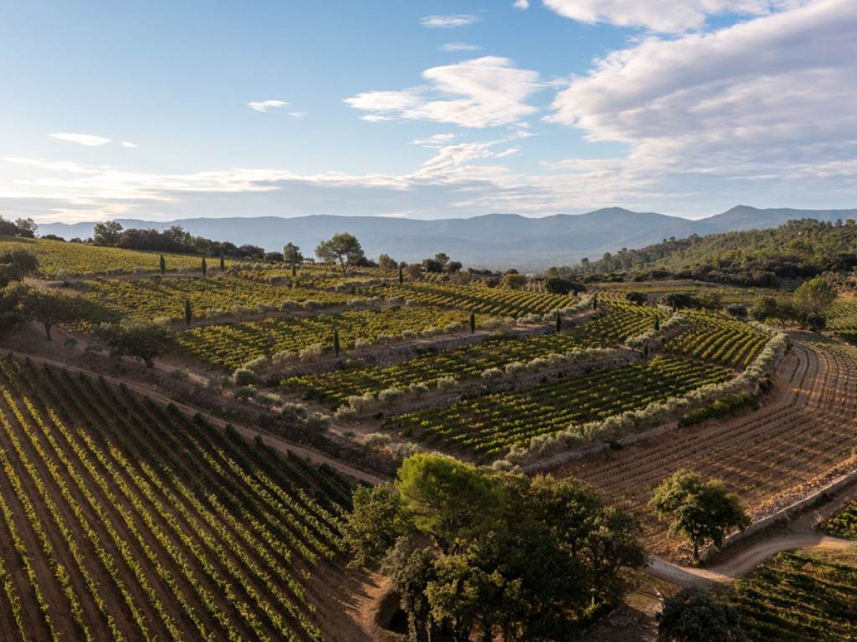 Visite et dégustation - Vignerons Indépendants