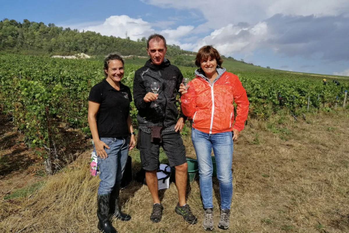 The Instant of Eternity - Exclusive day at the winery for 2 - Vignerons Indépendants
