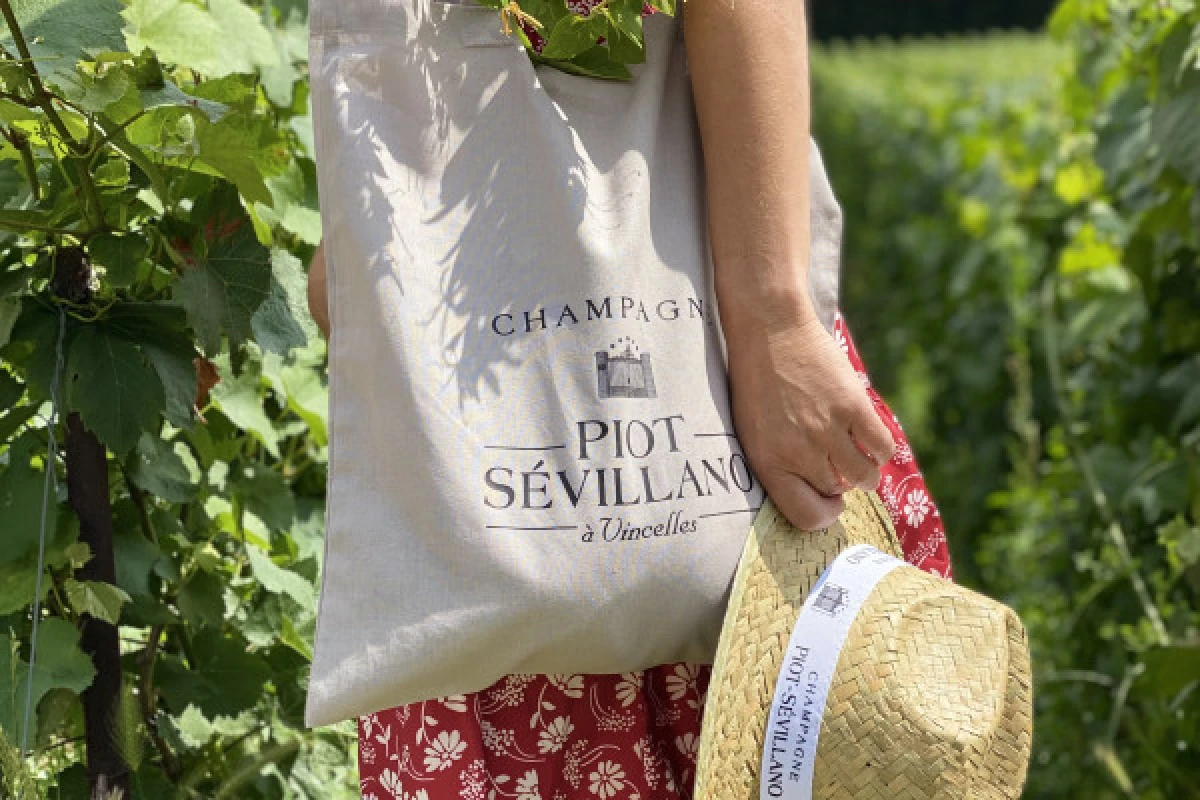 The Instant of Eternity - Exclusive day at the winery for 2 - Vignerons Indépendants