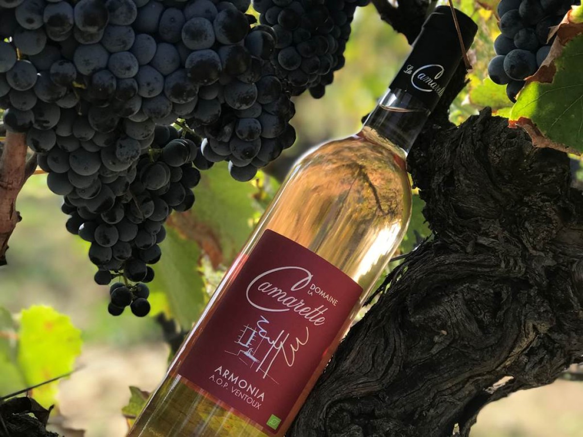  - Vignerons Indépendants