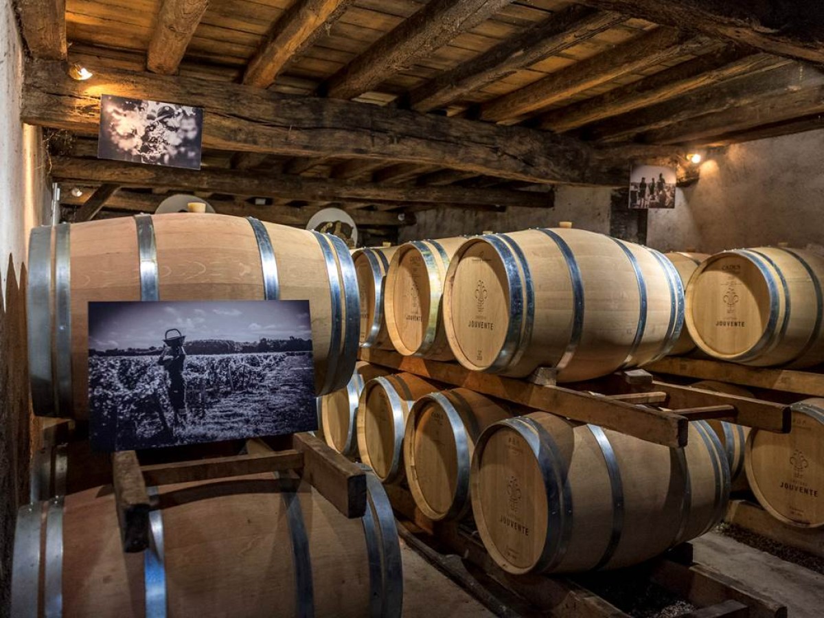 La visite et dégustation "In Vino" : Dans les secrets des vins en cours d'élevage - Vignerons Indépendants