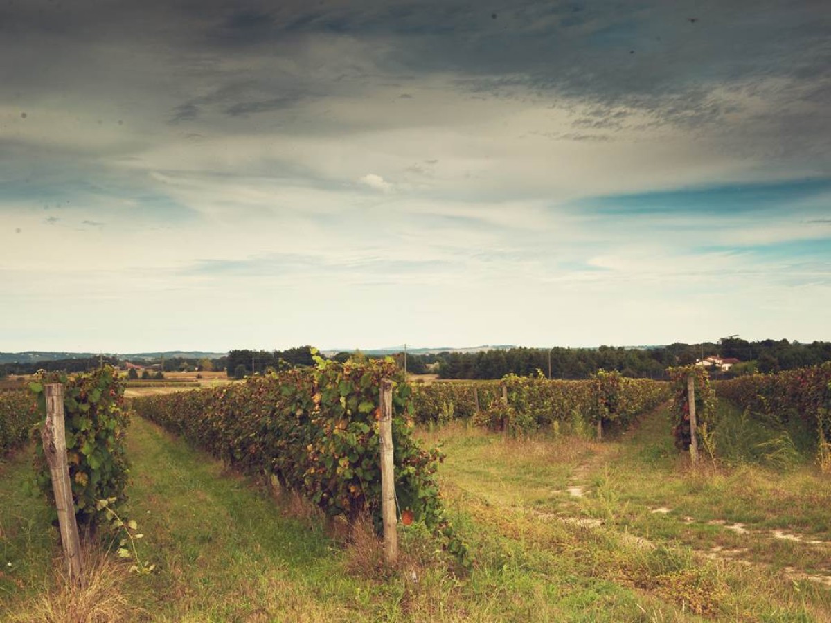  - Vignerons Indépendants