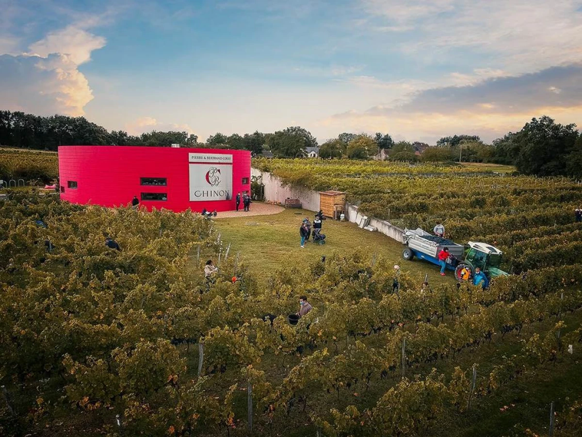The educational trail - Vignerons Indépendants