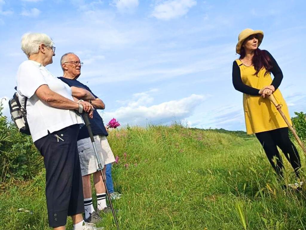 Légendes et Vignes : Conte moi un Terroir - Vignerons Indépendants