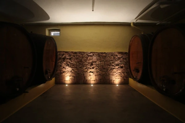 Senses on the edge: wine through smell and taste - Vignerons Indépendants