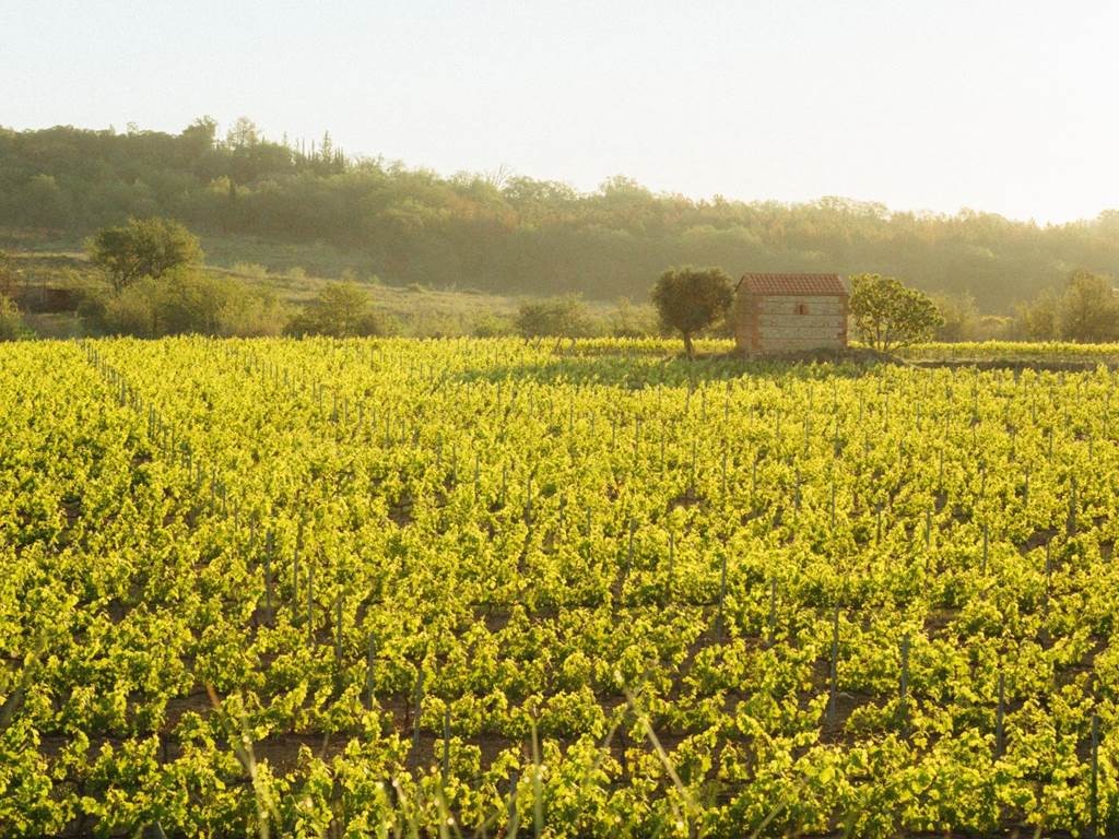 Marché des Créatives - Vignerons Indépendants