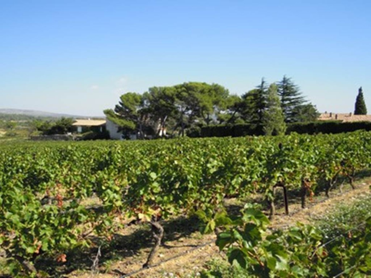  - Vignerons Indépendants