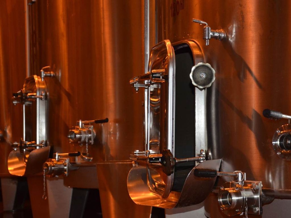 Mémoire du terroir : Les Millésimes du domaine - Vignerons Indépendants