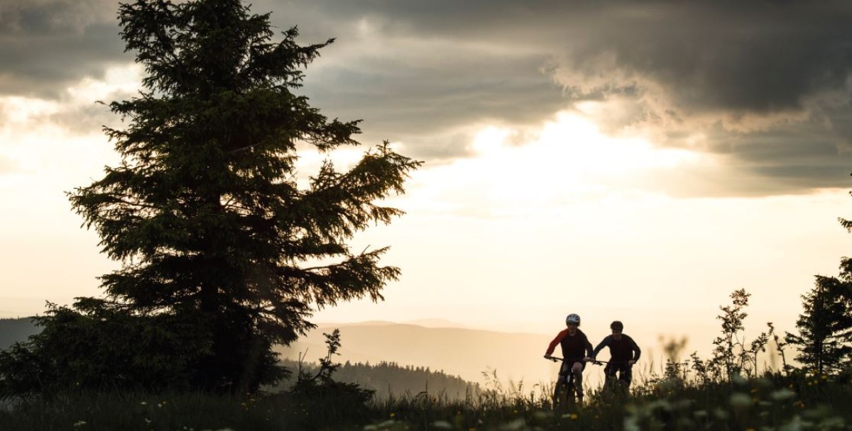 - Vignerons Indépendants