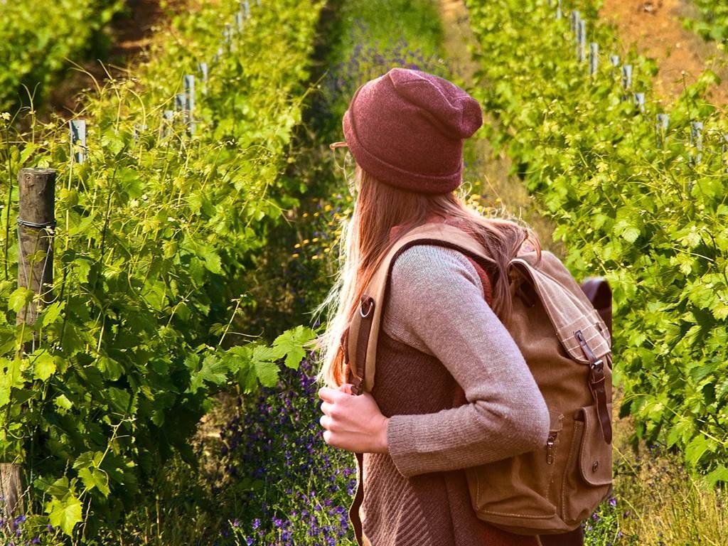Oeno-Balade dans le vignoble de Boudes 🥾 - Vignerons Indépendants