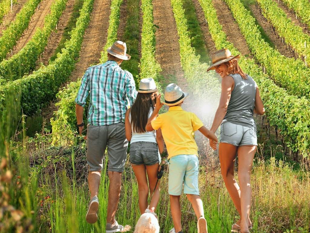 Oeno-Balade estivale en soirée dans le vignoble de Boudes - Vignerons Indépendants