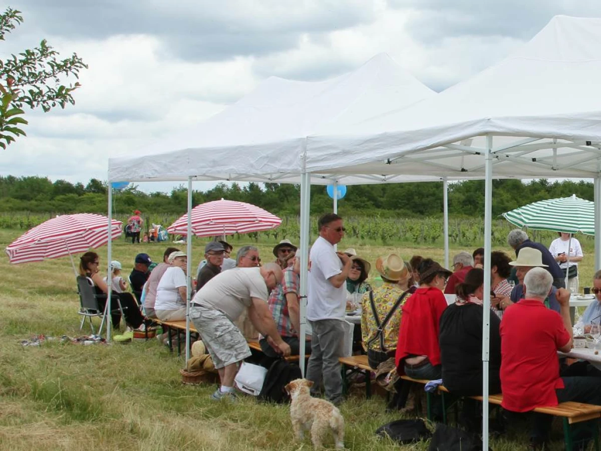 Pack dégustation + déjeuner - Vignerons Indépendants