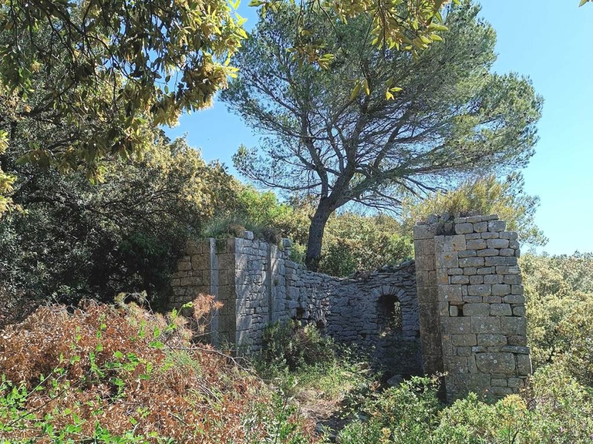  - Vignerons Indépendants