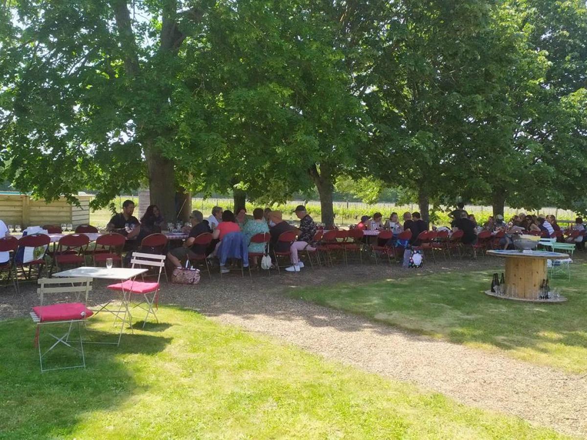 Independent Winegrowers Picnic - Vignerons Indépendants