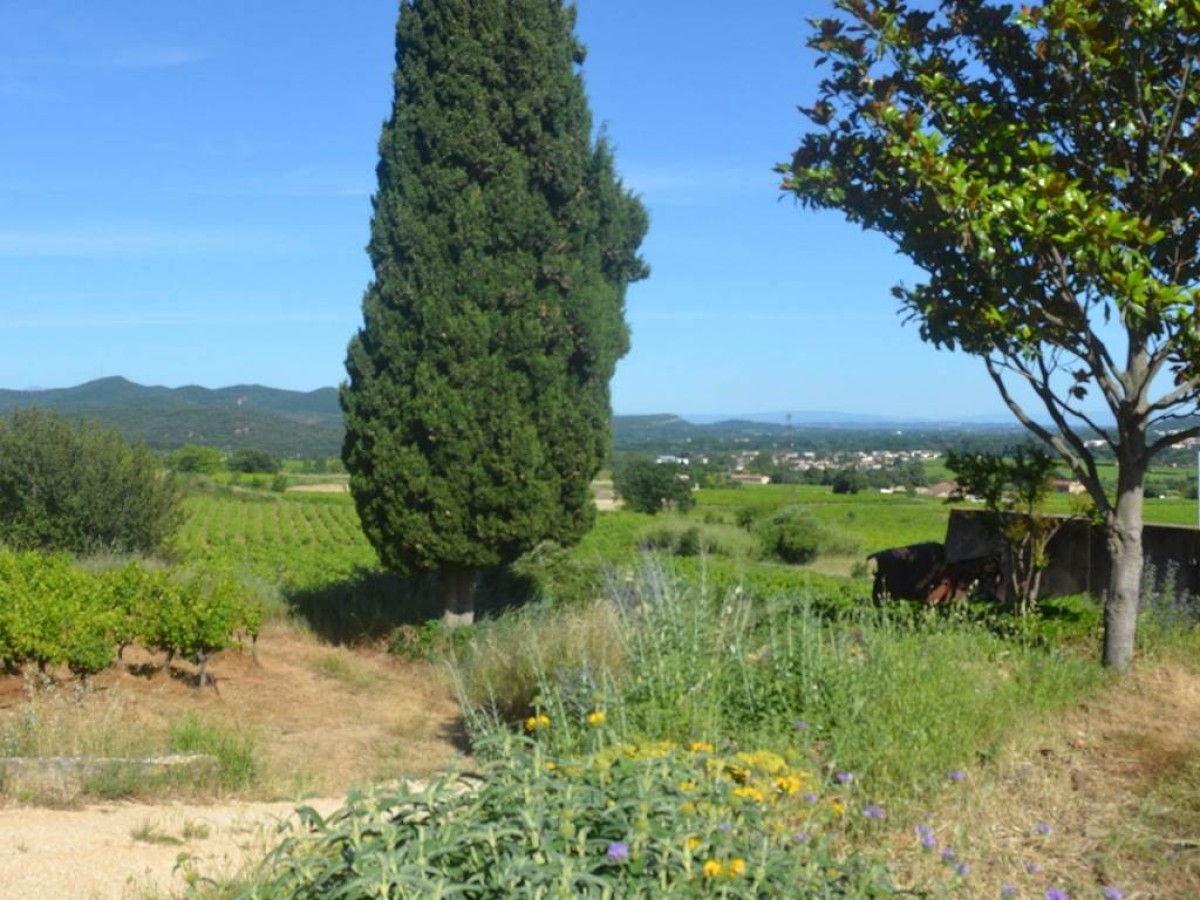  - Vignerons Indépendants