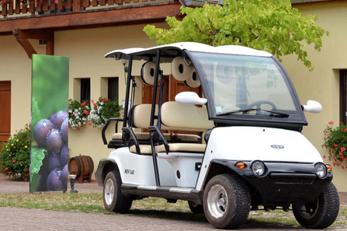 Electric vehicle ride through the vineyards - Vignerons Indépendants