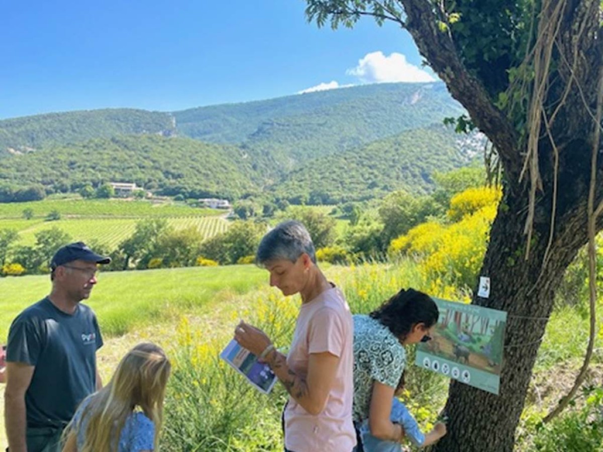 Randonnée ludique familiale - Vignerons Indépendants