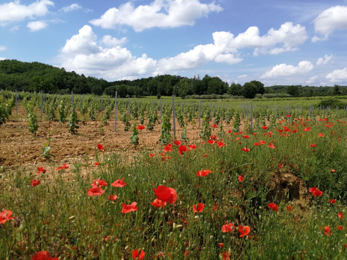  - Vignerons Indépendants