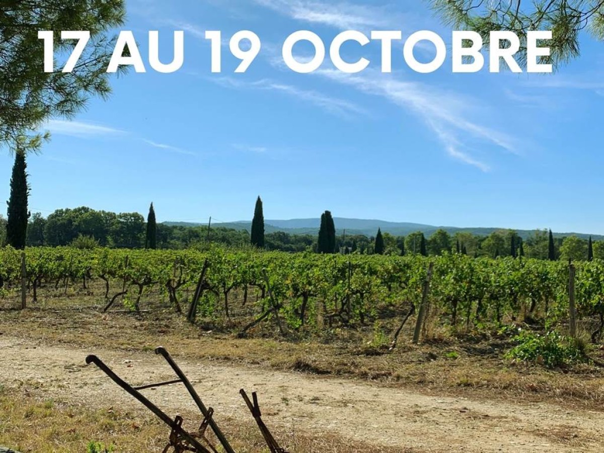 Retraite Yoga & Bien-être - Vignerons Indépendants