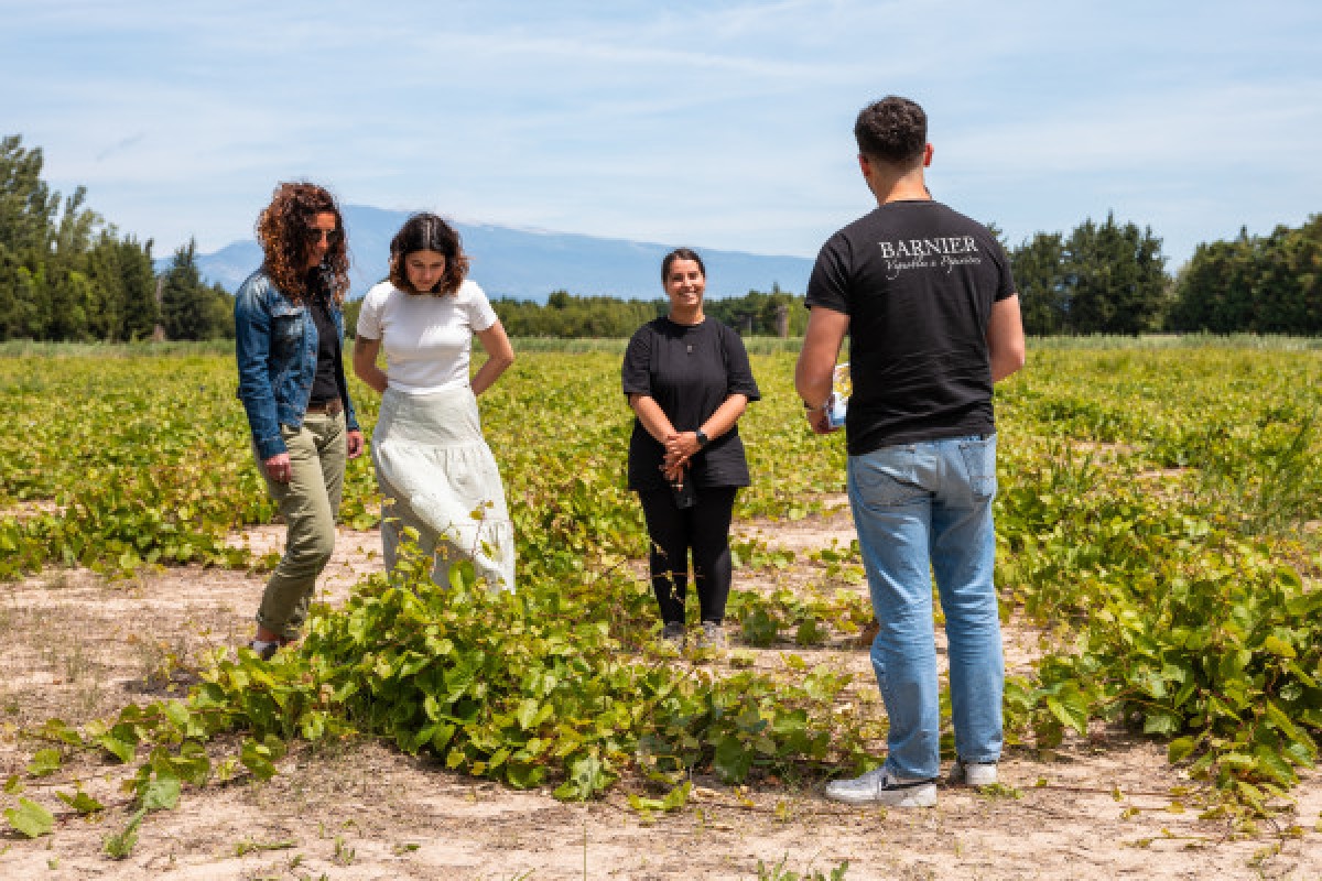Land Rover Wine Safari - Vignerons Indépendants