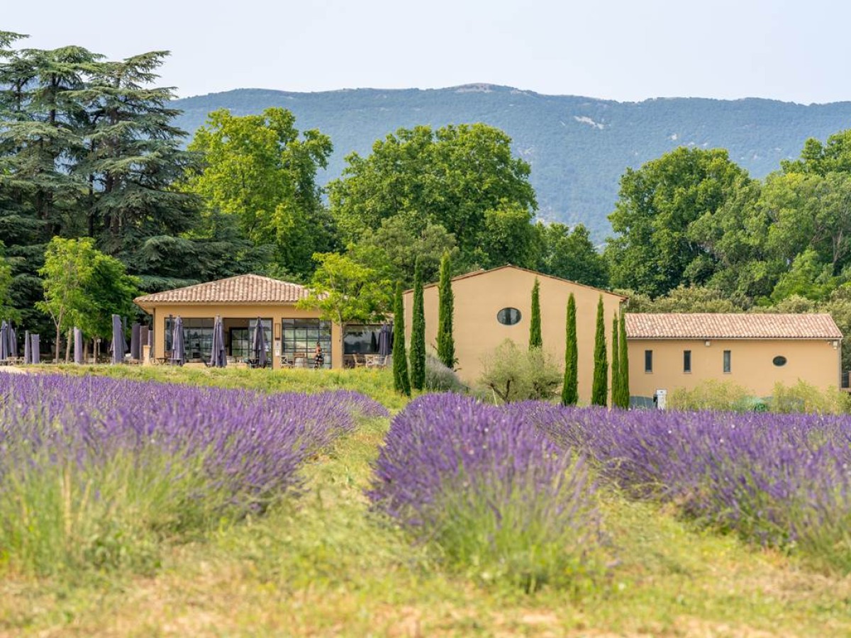 Séminaire à la journée - Vignerons Indépendants