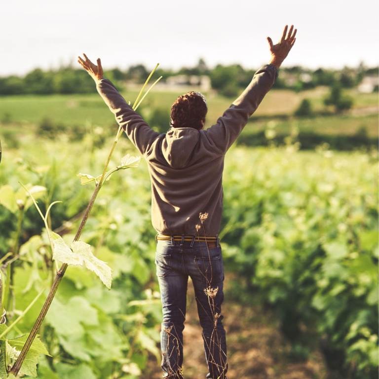 Sophrologie dans les vignes avec dégustation - Vignerons Indépendants