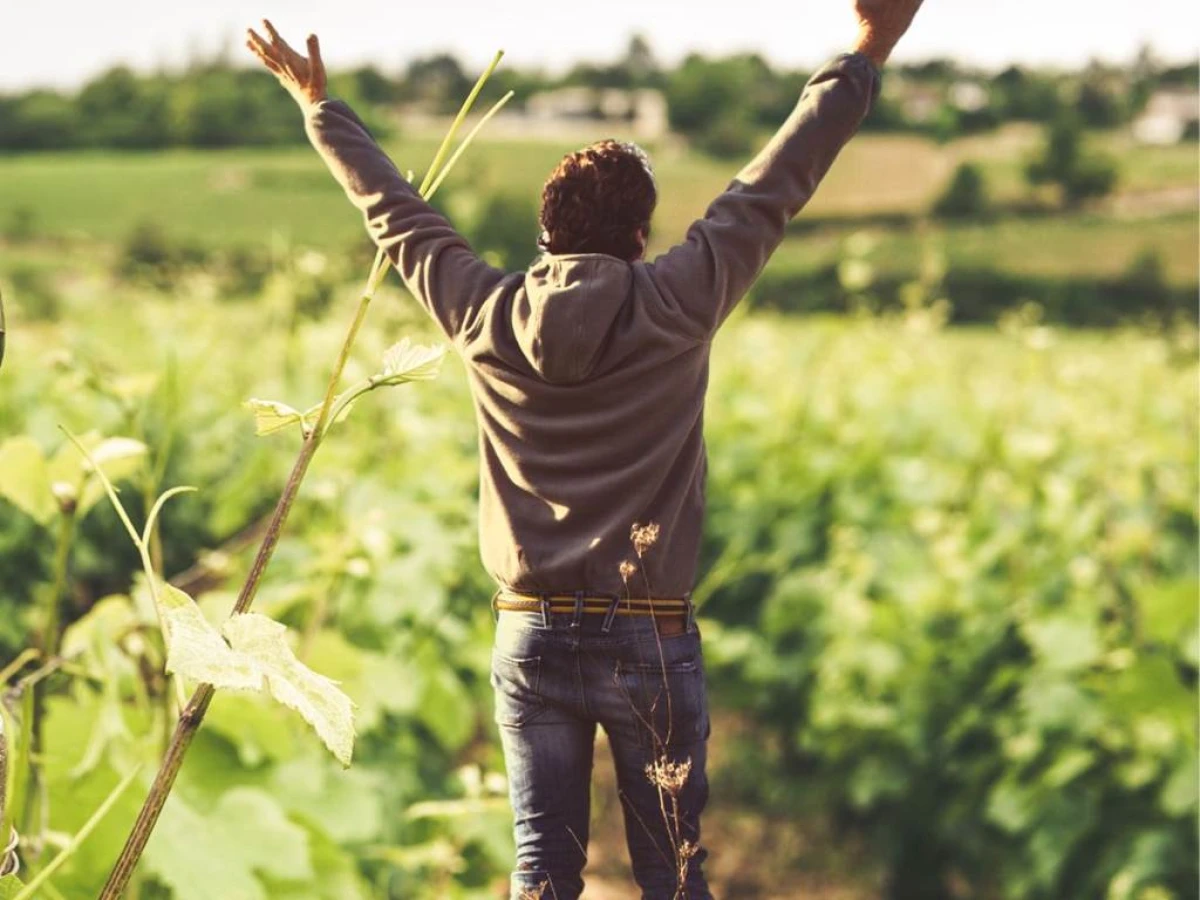 TEST - Vignerons Indépendants